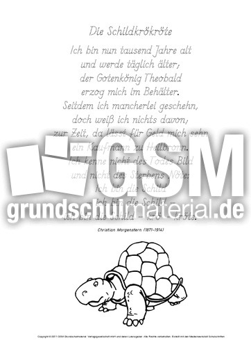 Nachspuren-Die-Schildkrökröte-Morgenstern-GS.pdf